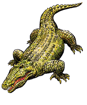 Crocodile (Monstrous Manual)